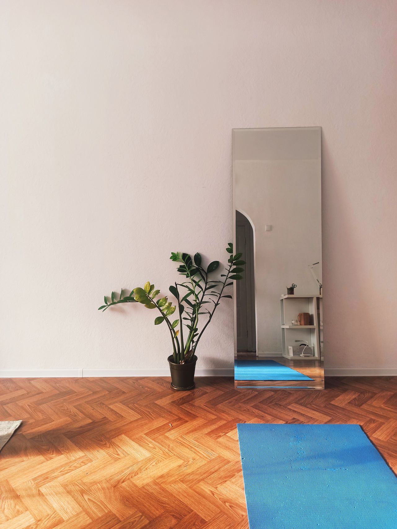 Lotus and Vine Yoga Studio interior